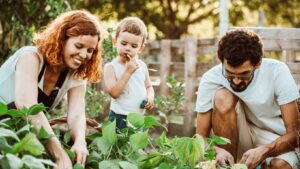 Everyday Parenting Tips New Yorker